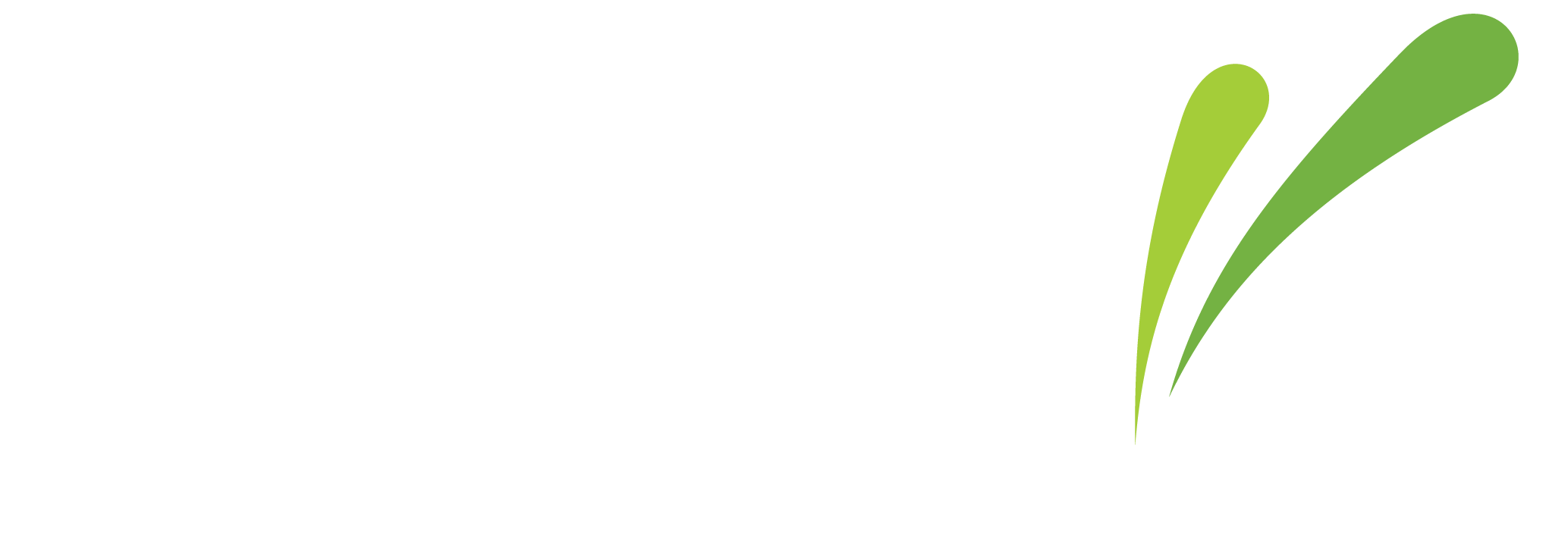 Luminous Serenity Logo